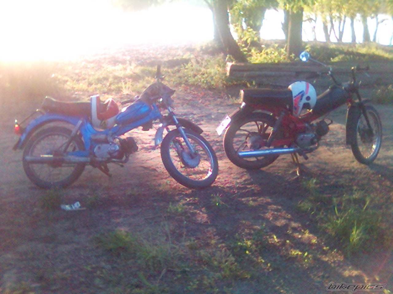 Photo 1447781