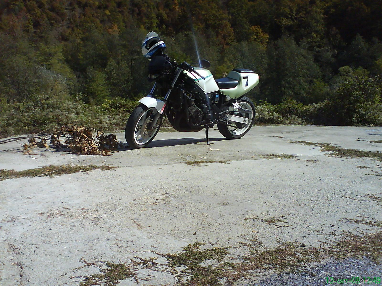 Photo 1447795