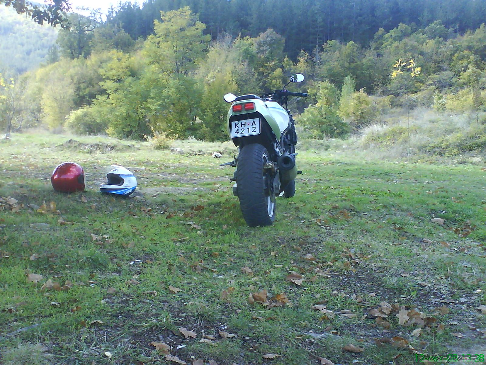 Photo 1447799
