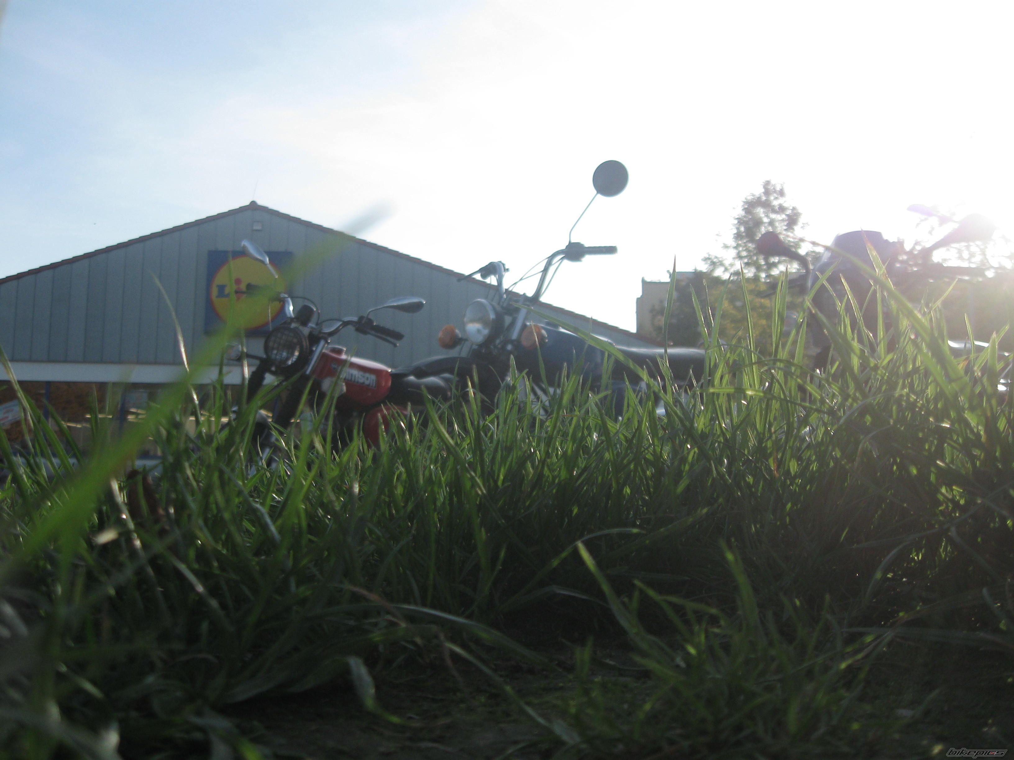 Photo 1447803