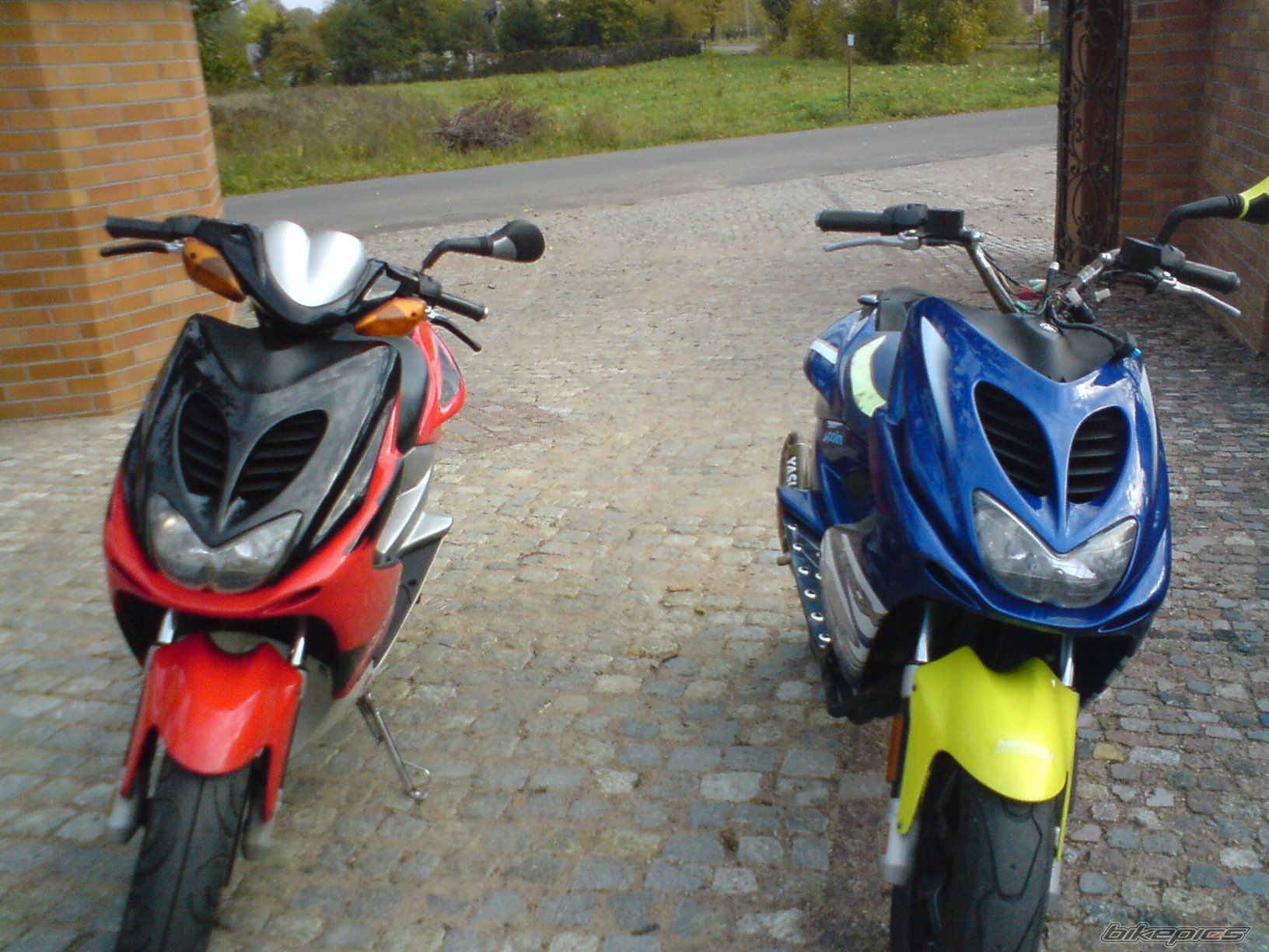 Photo 1447813