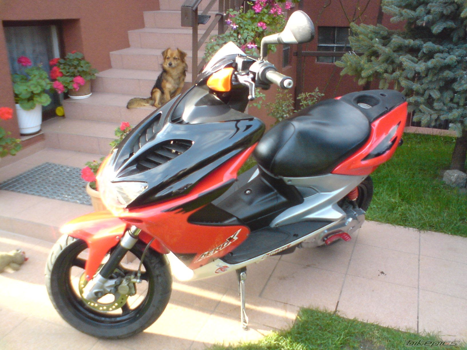 Bike Photo 1447819