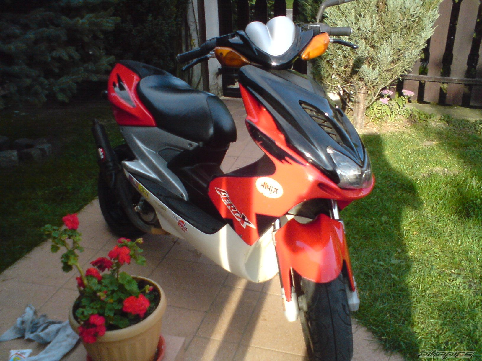 Bike Photo 1447820