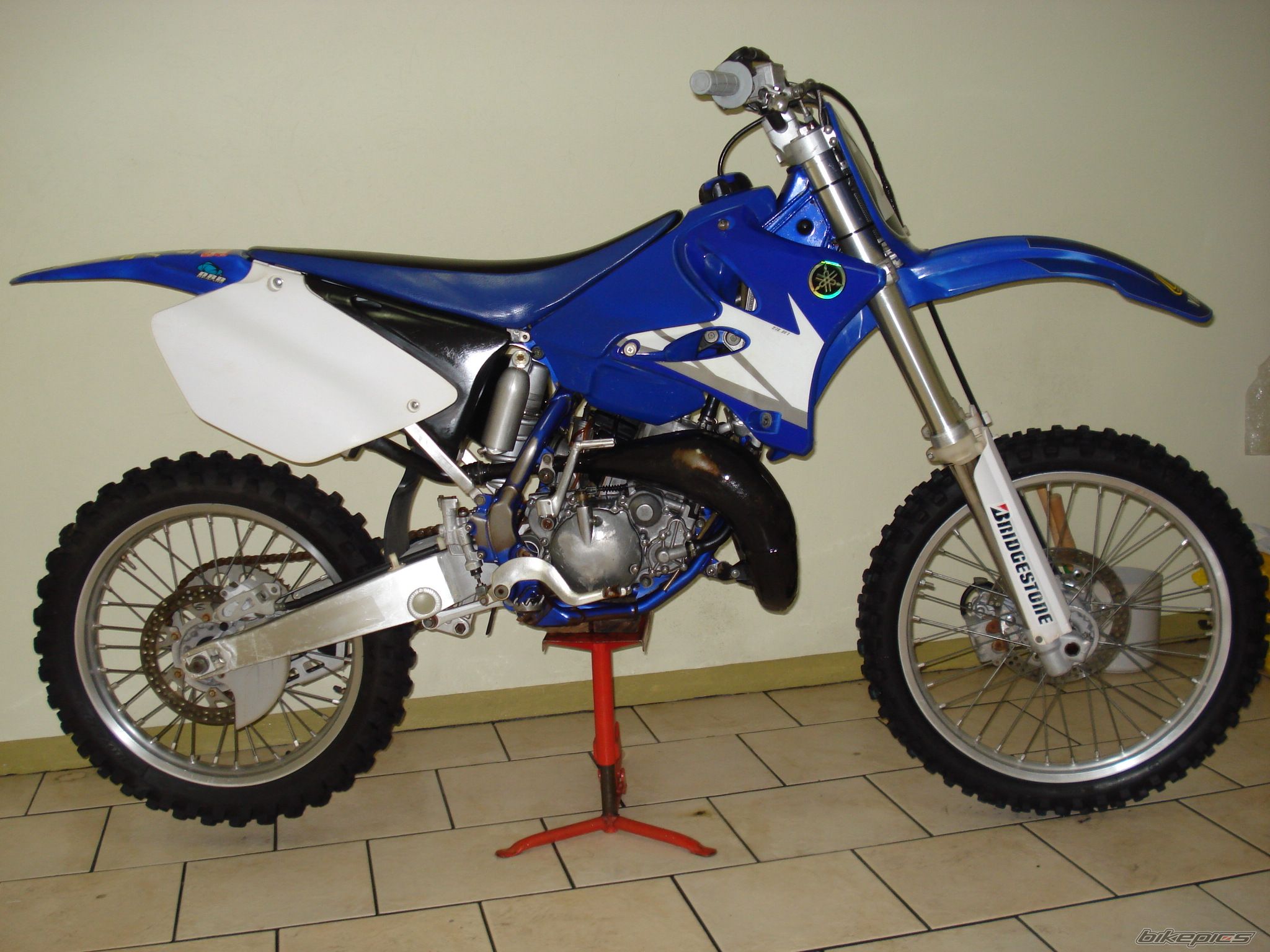 Photo 1447822