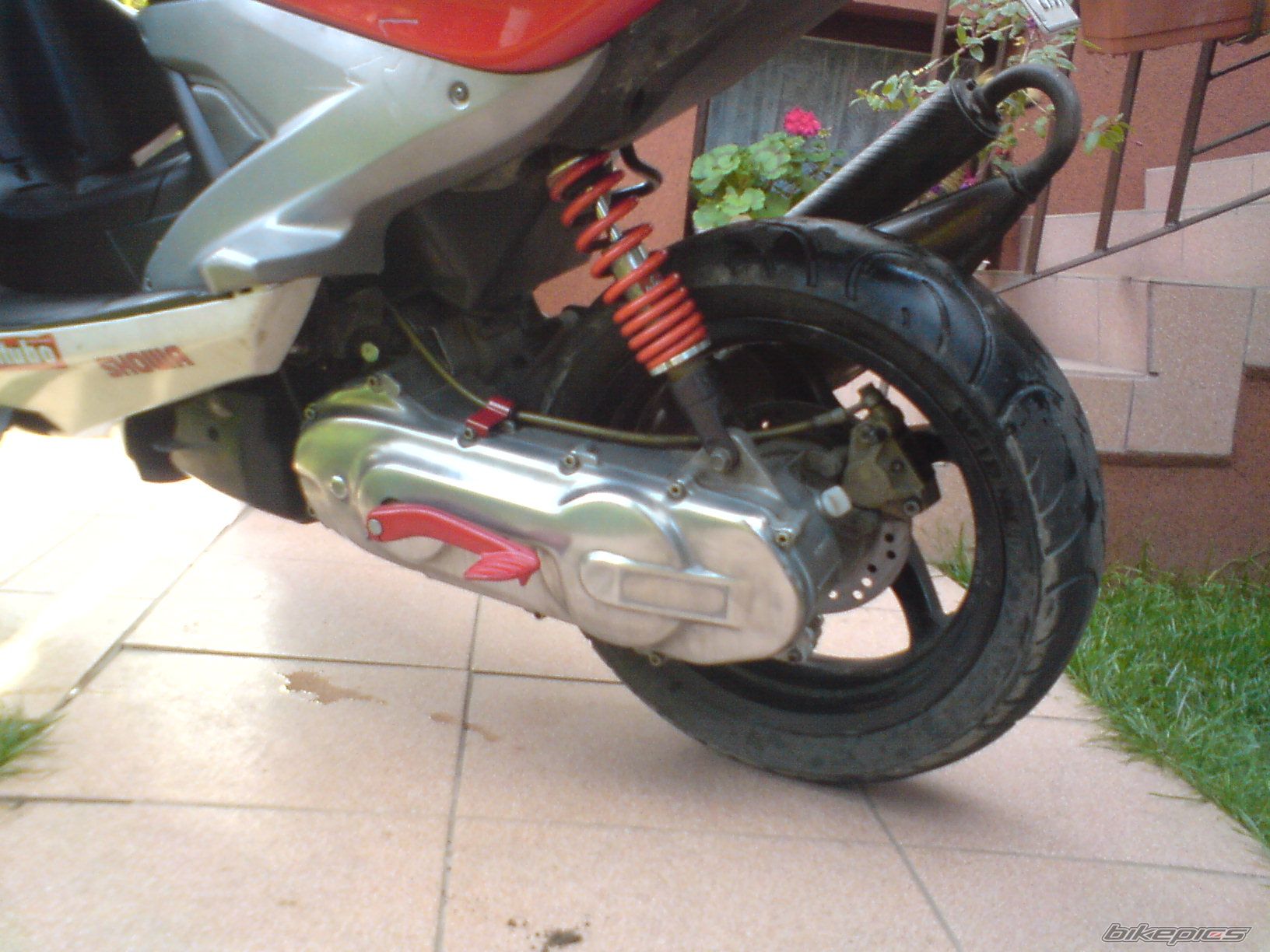 Photo 1447823