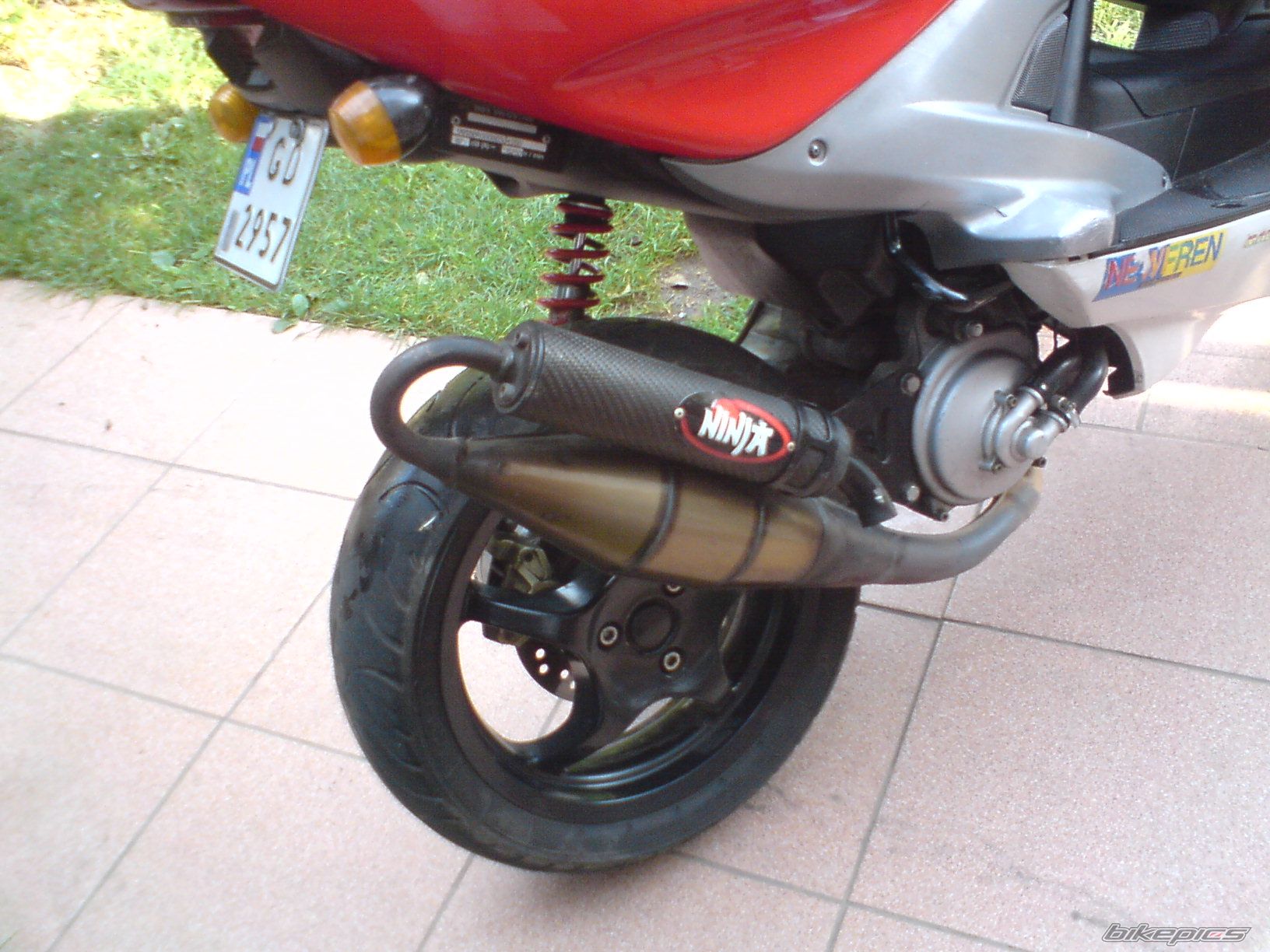 Photo 1447824