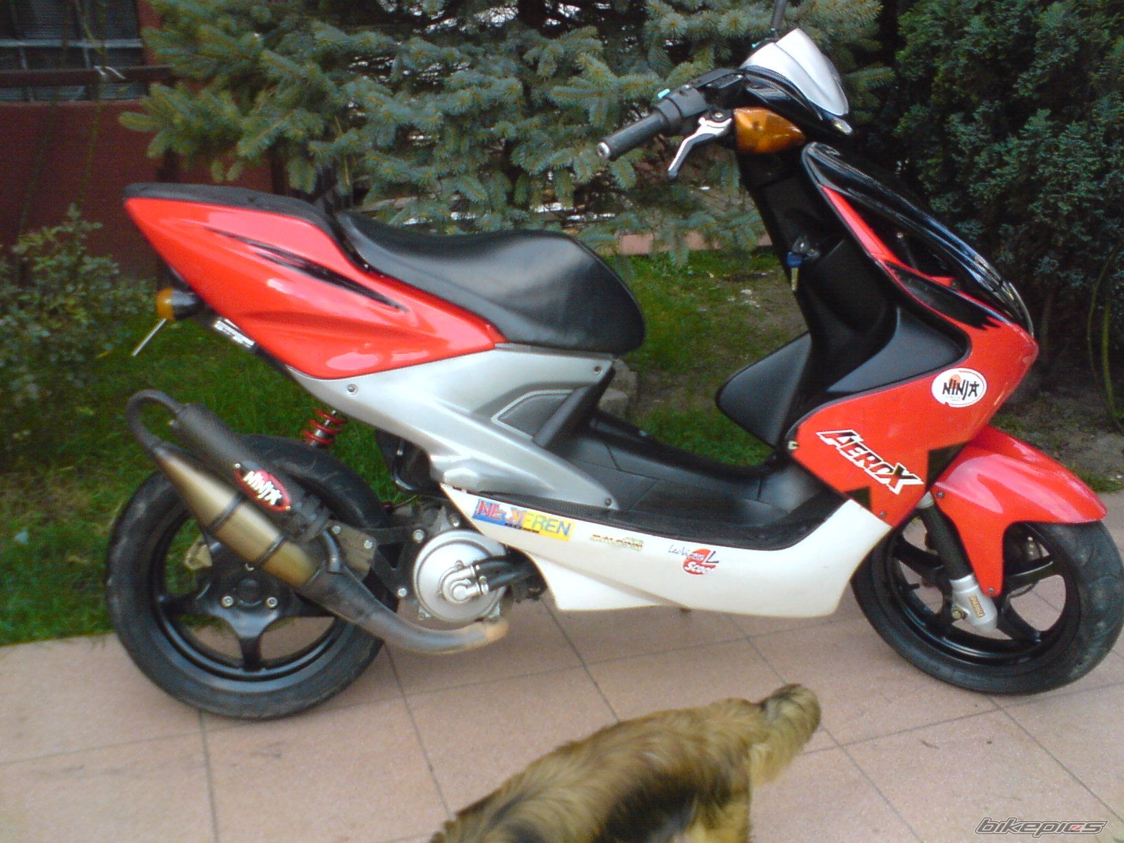 Bike Photo 1447828