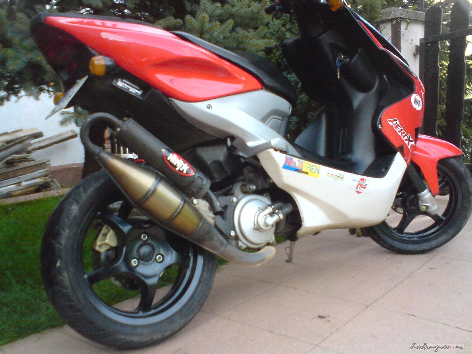 Photo 1447832