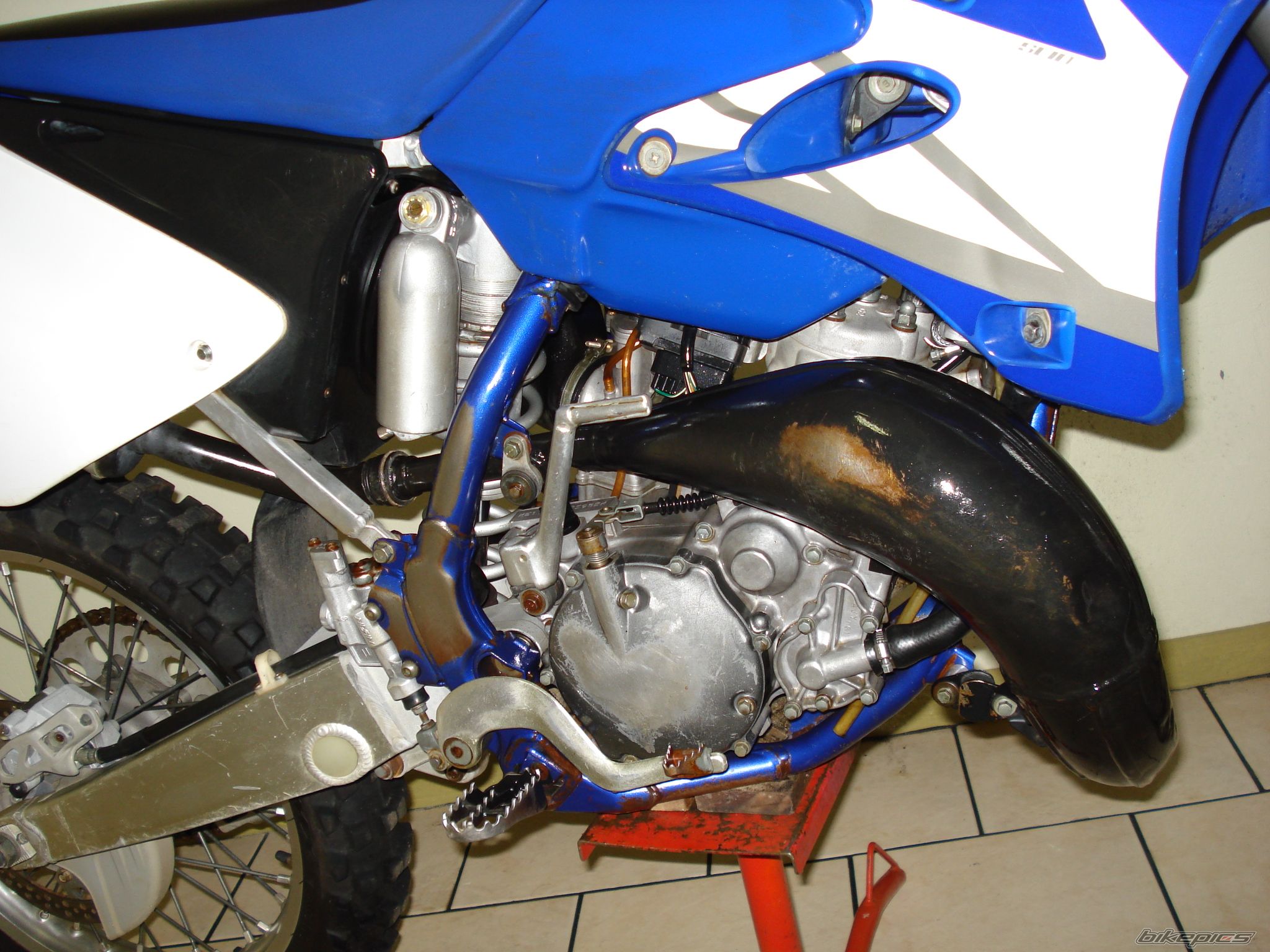 Photo 1447837