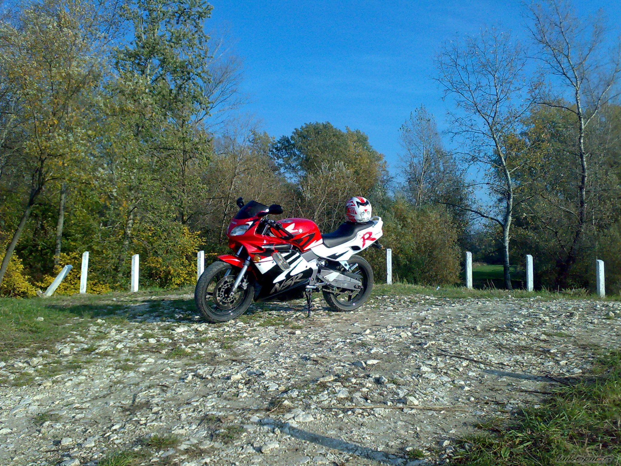 Photo 1447843