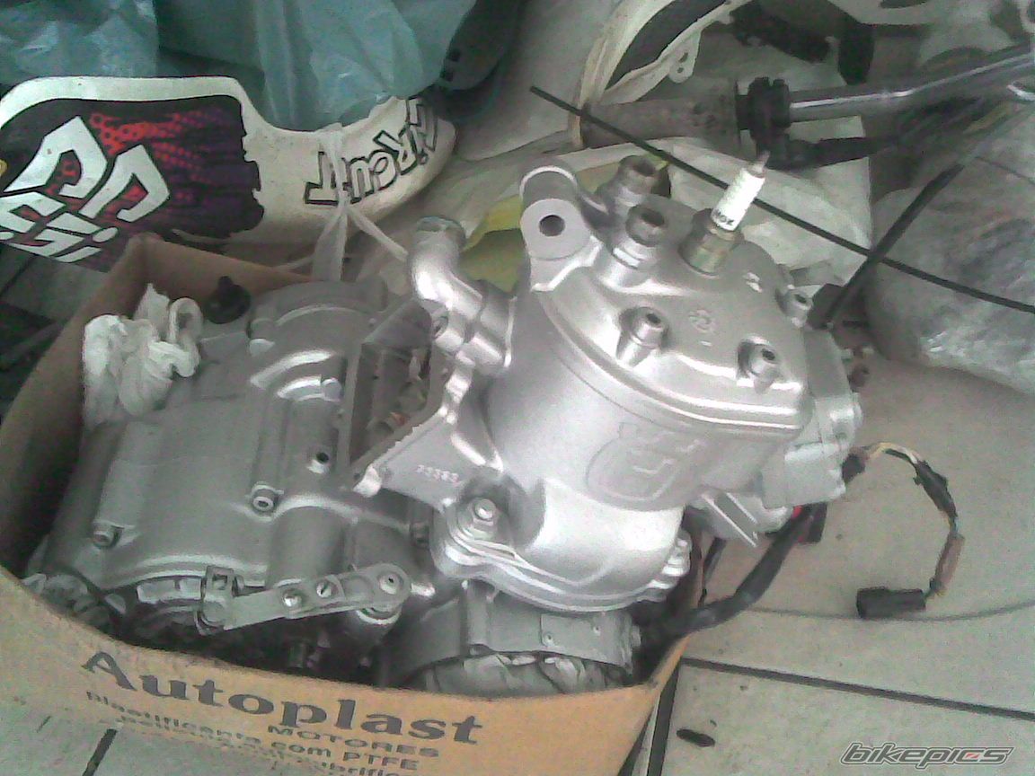 Photo 1447855