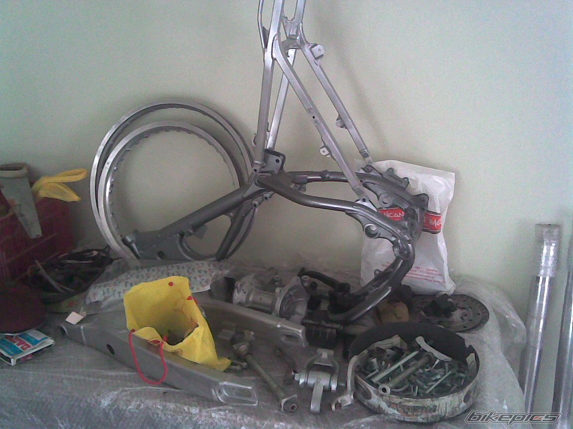Photo 1447858