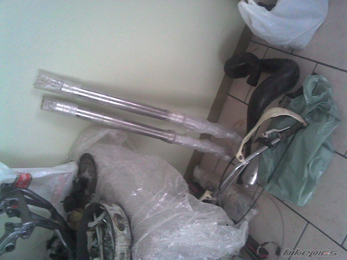Photo 1447861