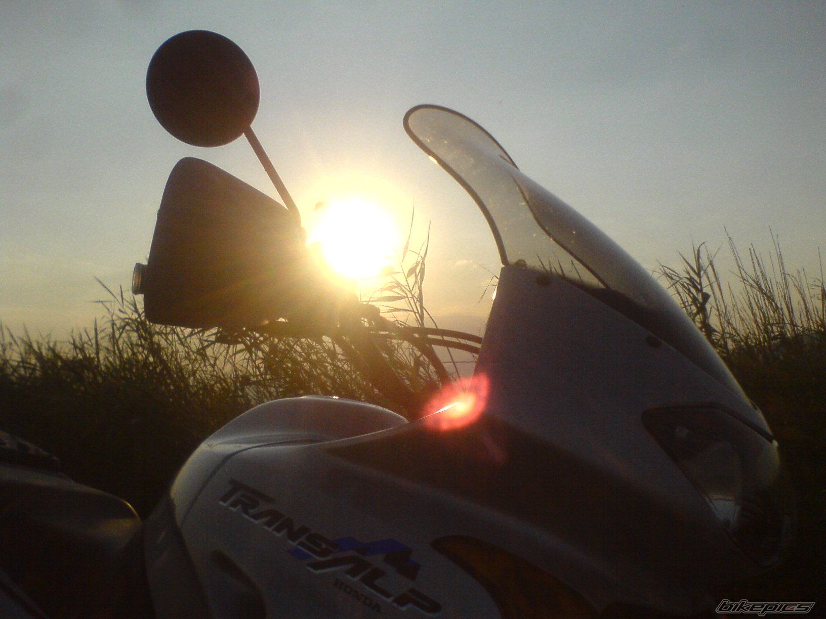 Photo 1447863