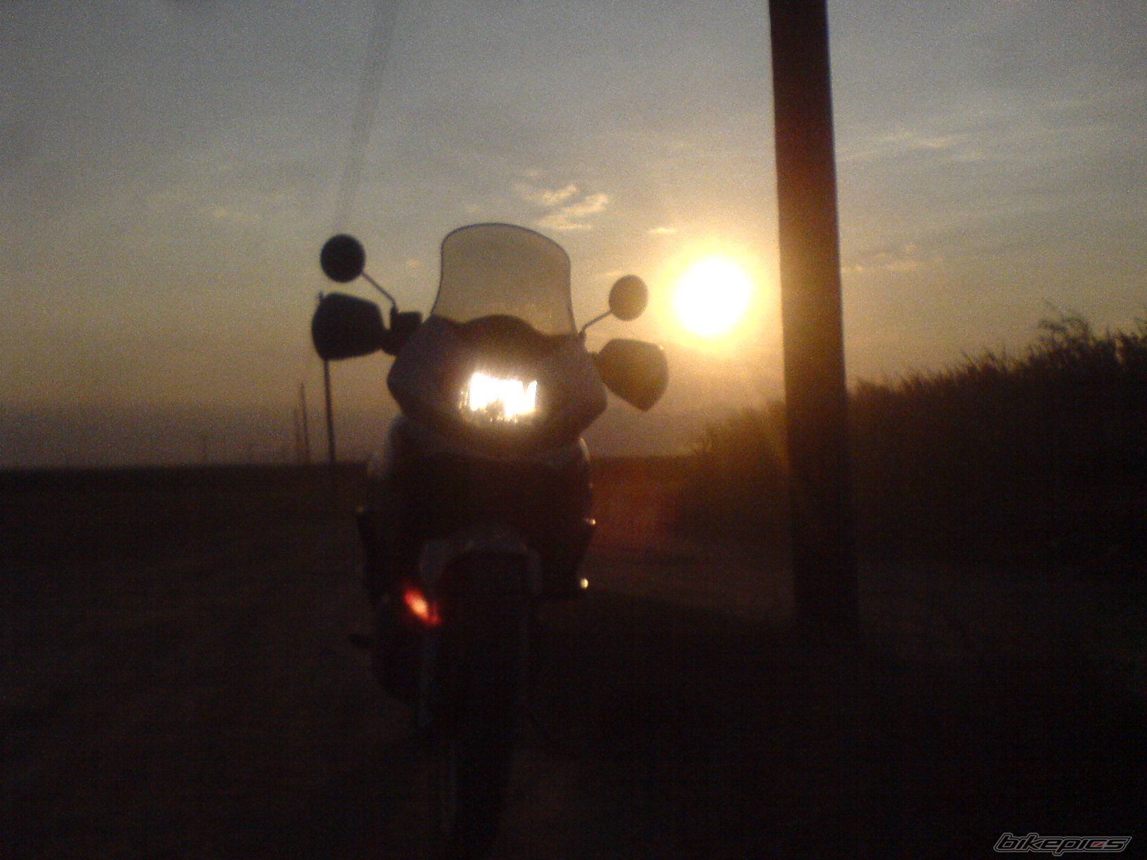 Photo 1447866