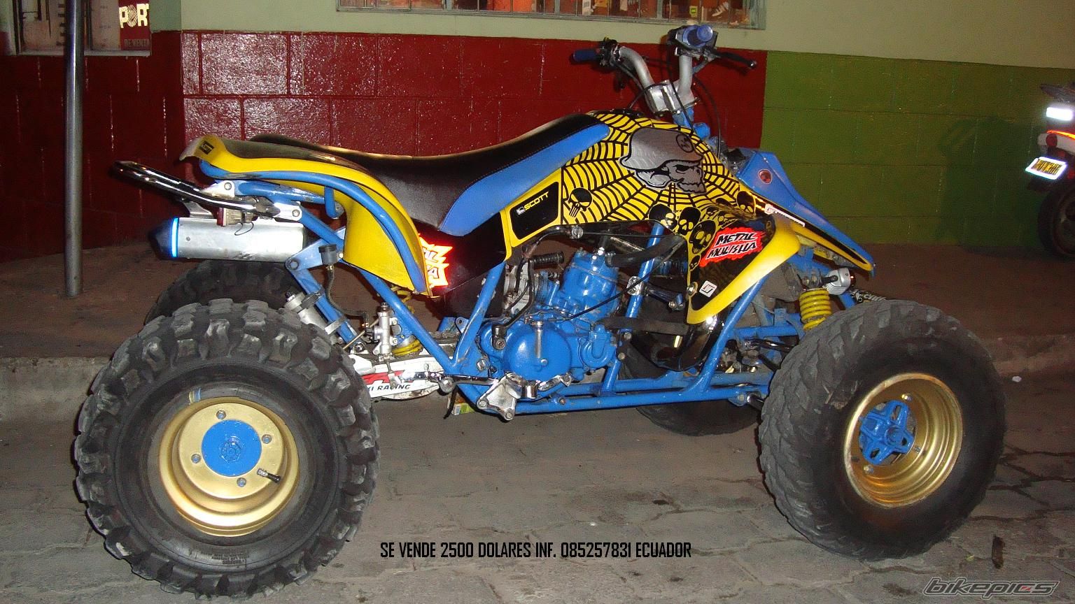 Photo 1447872