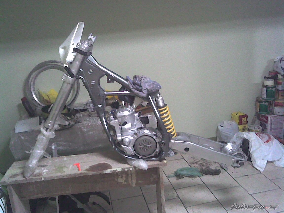Photo 1447875