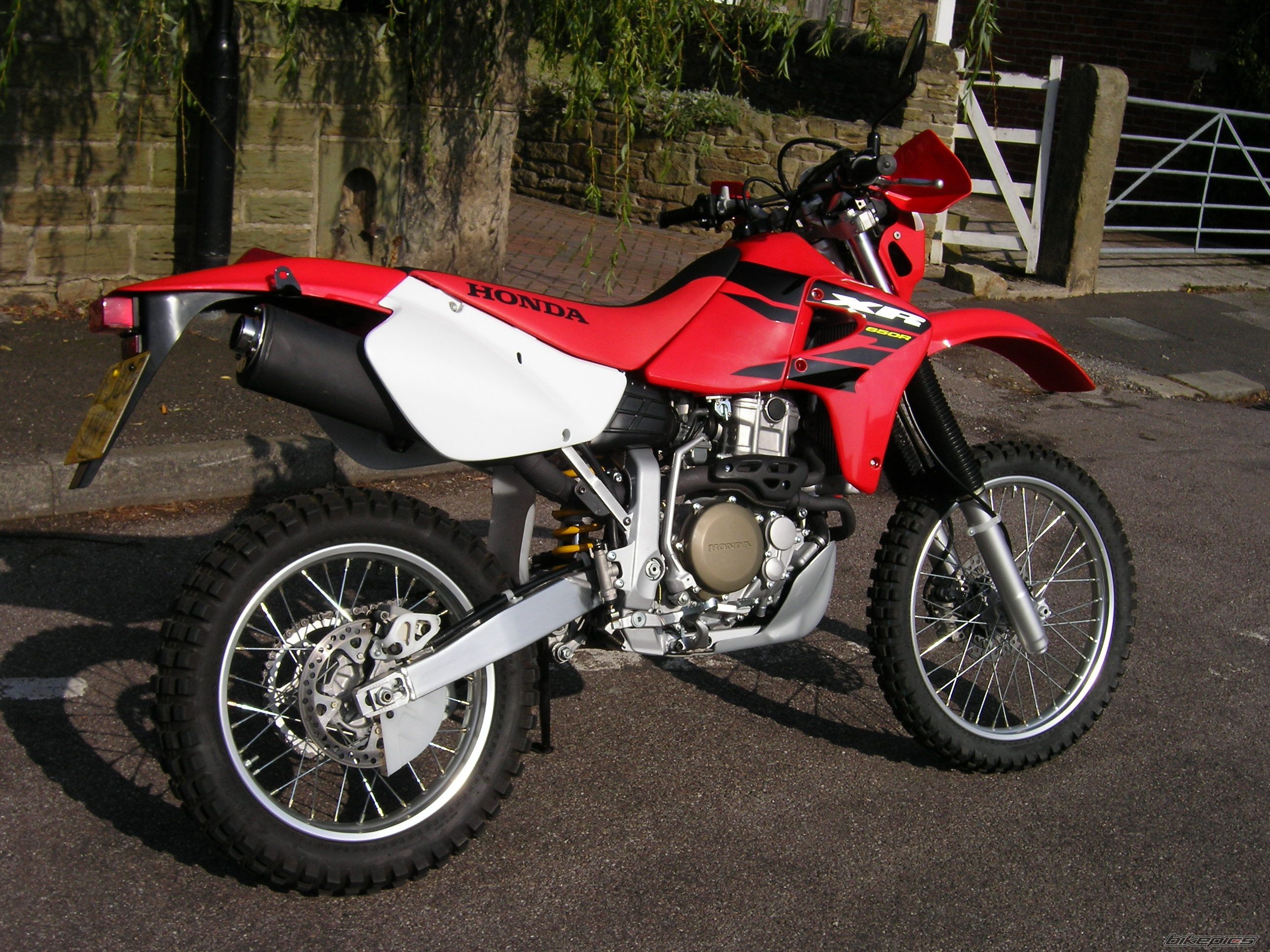 Photo 1447878
