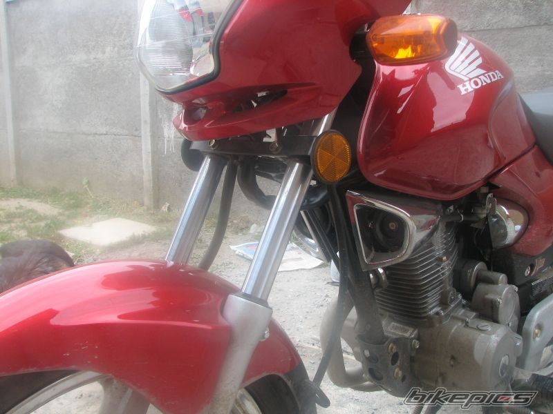 Photo 1447882