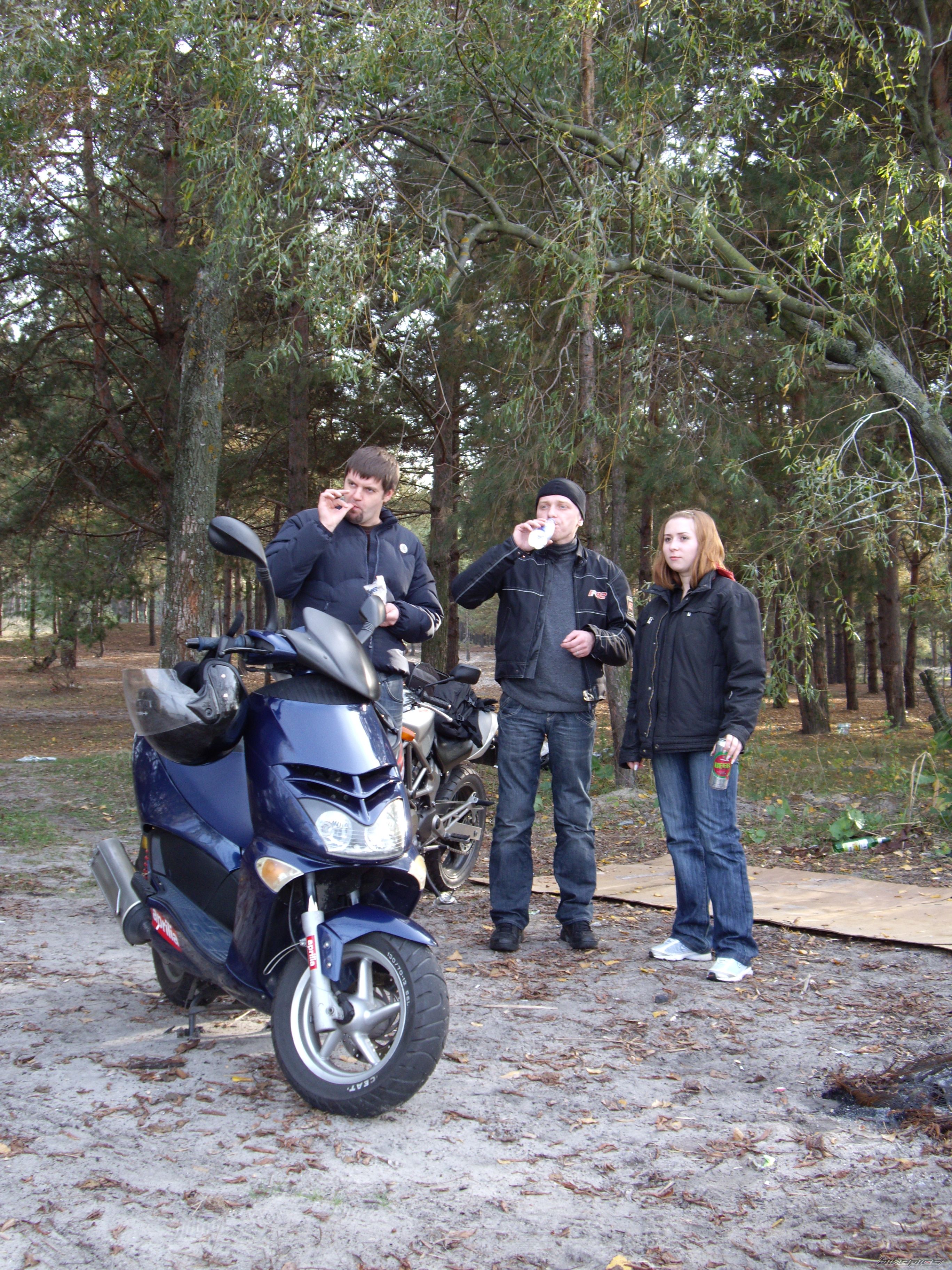 Photo 1447883