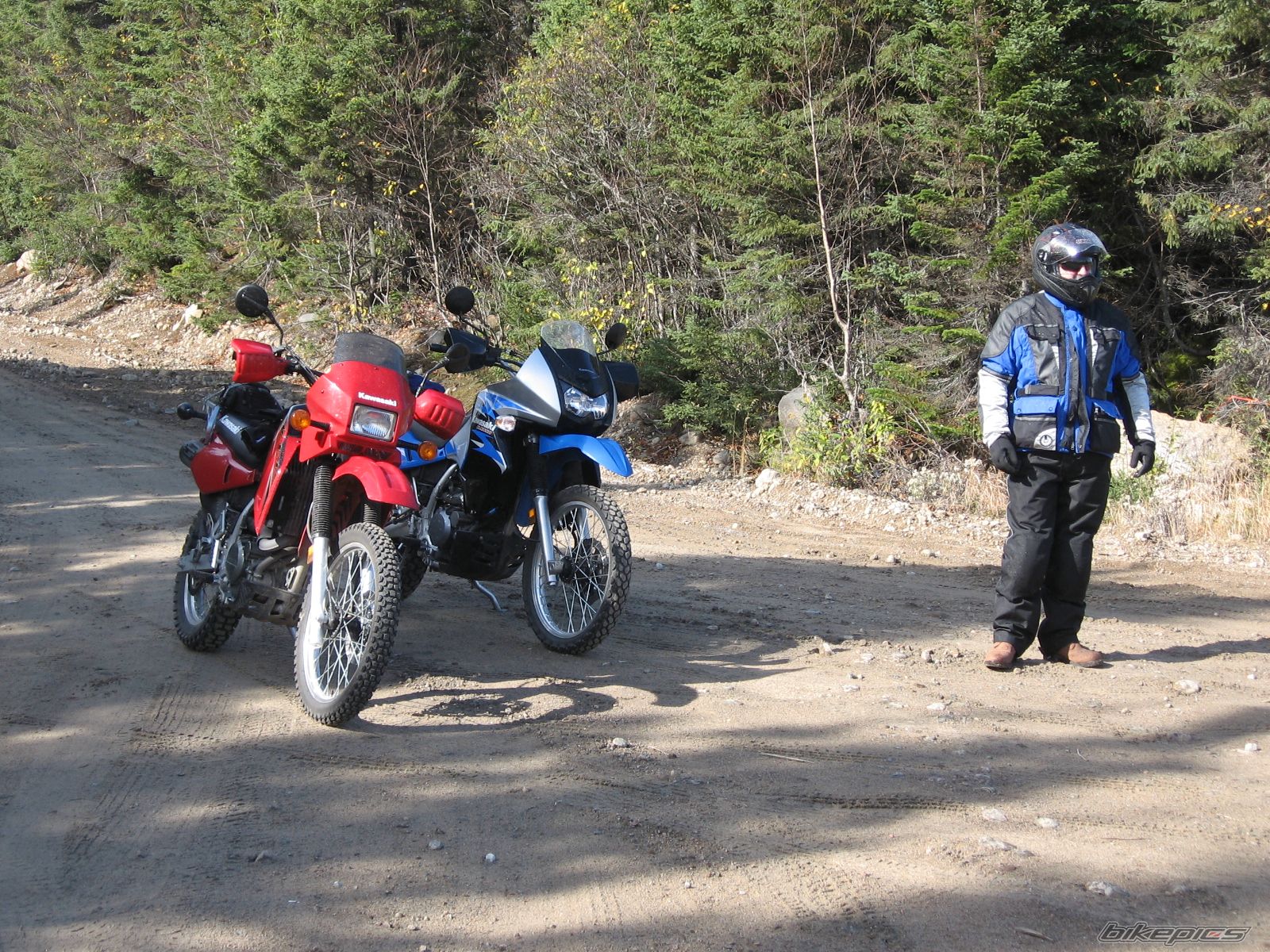 Photo 1447890