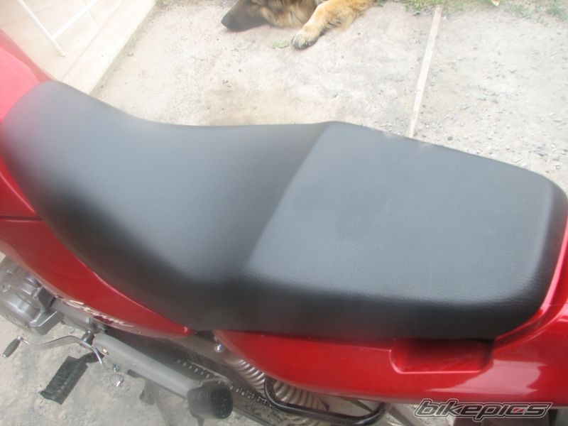 Photo 1447893