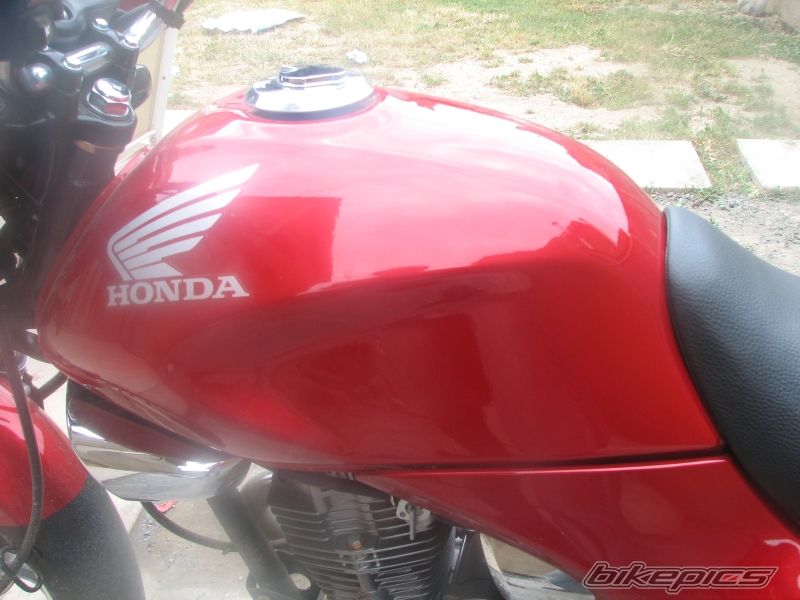 Photo 1447898