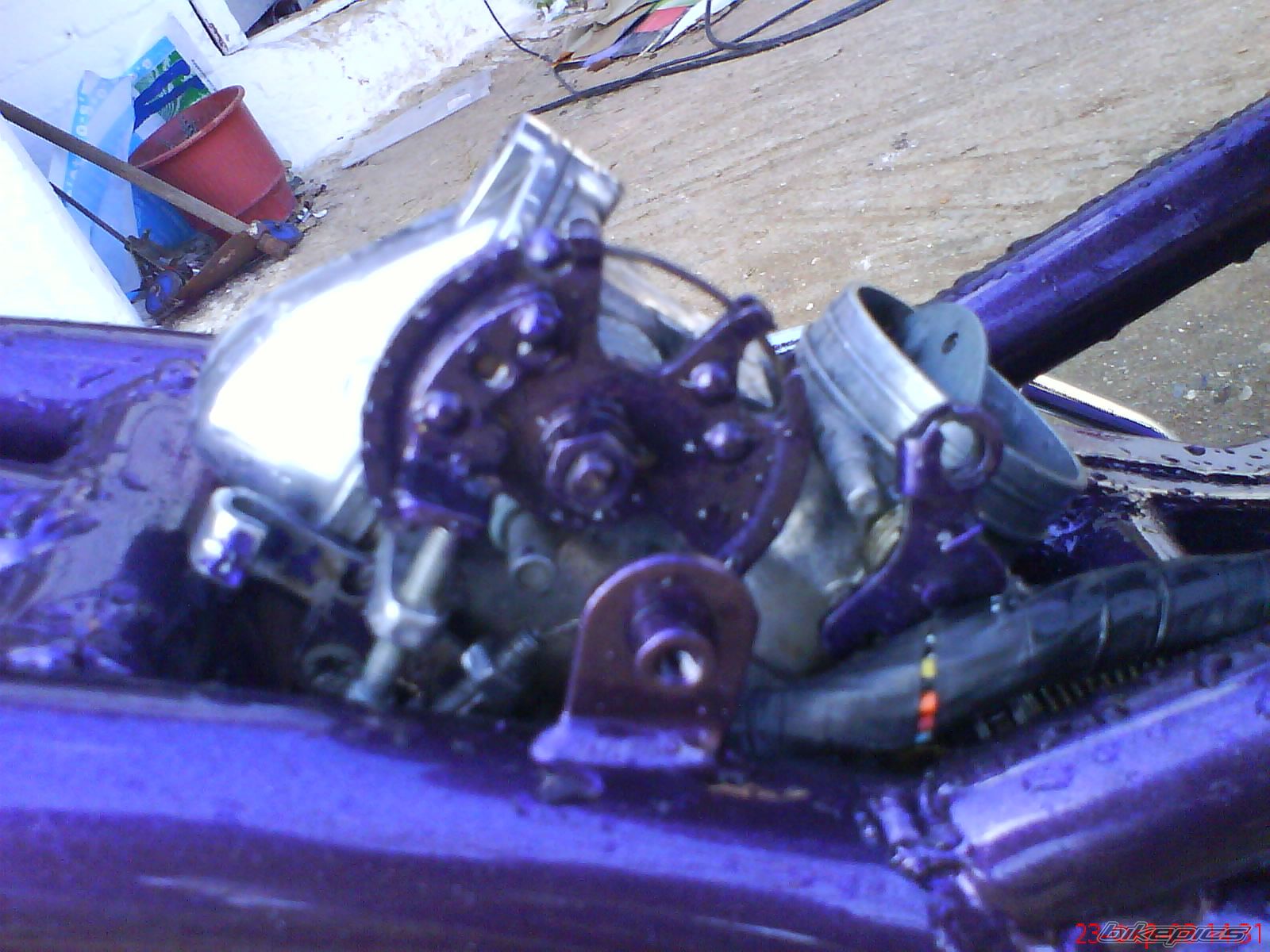 Photo 1447915