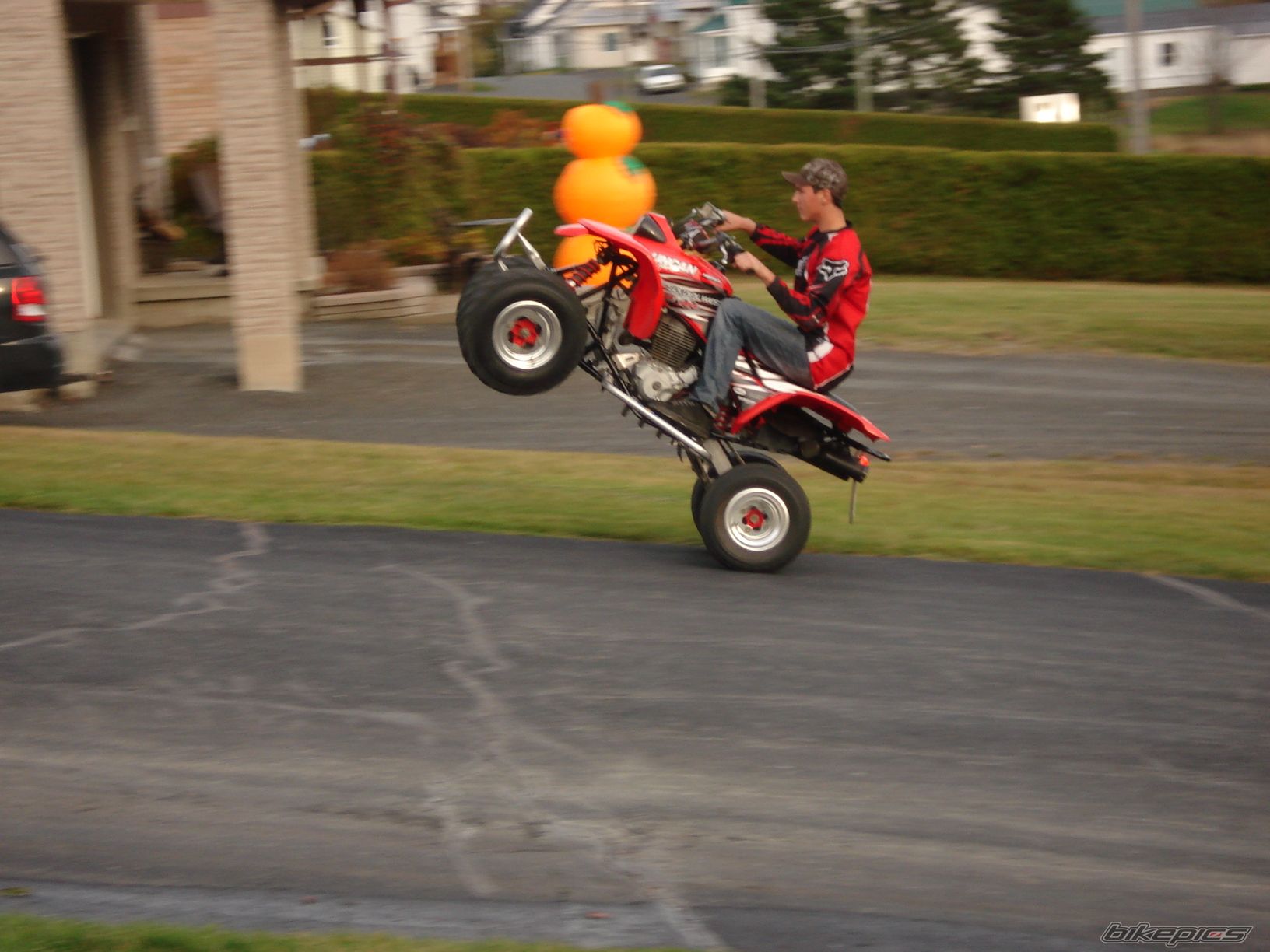 Photo 1447922