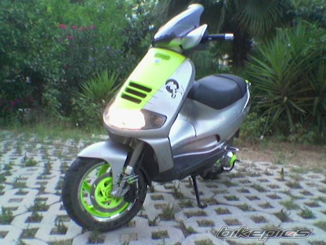 Photo 1447949