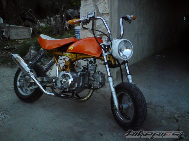 Photo 1447953