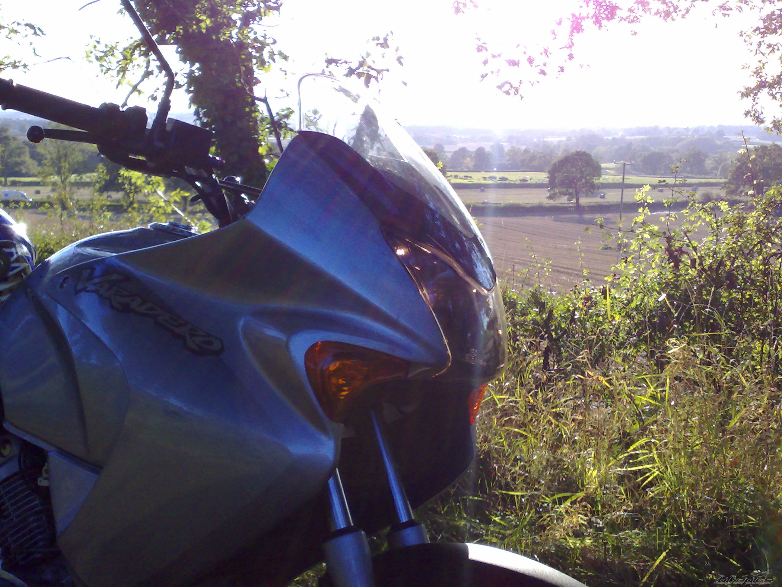 Photo 1447973