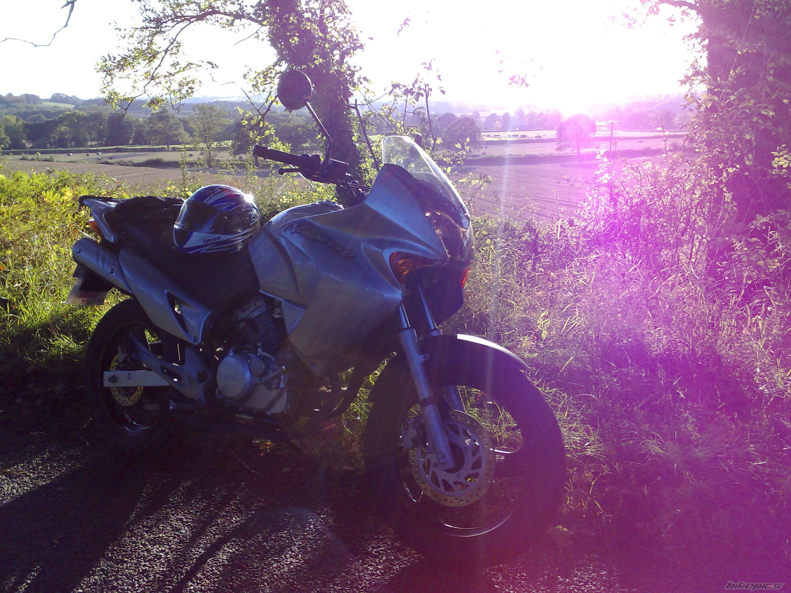 Bike Photo 1447987