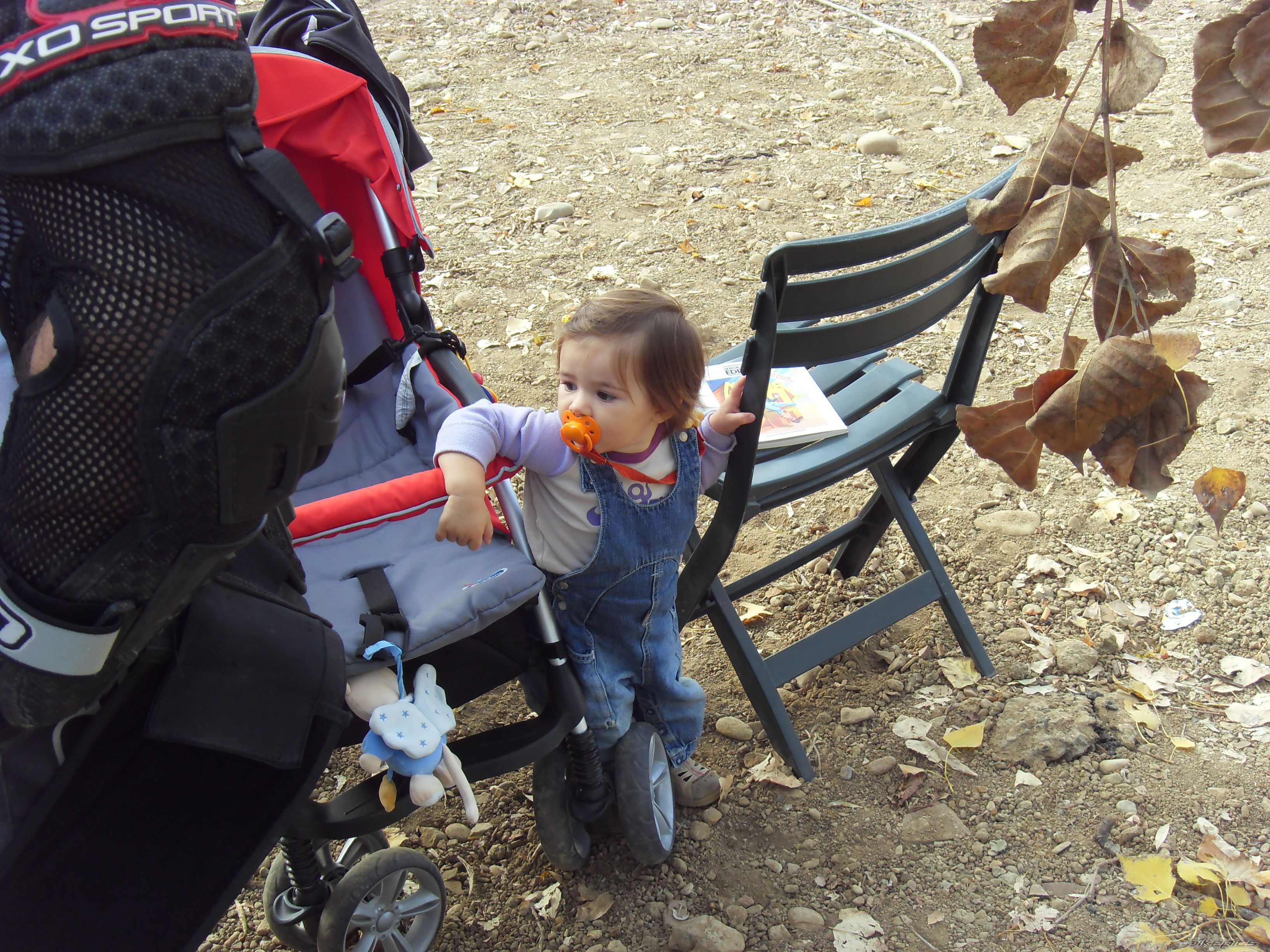 Photo 1447995
