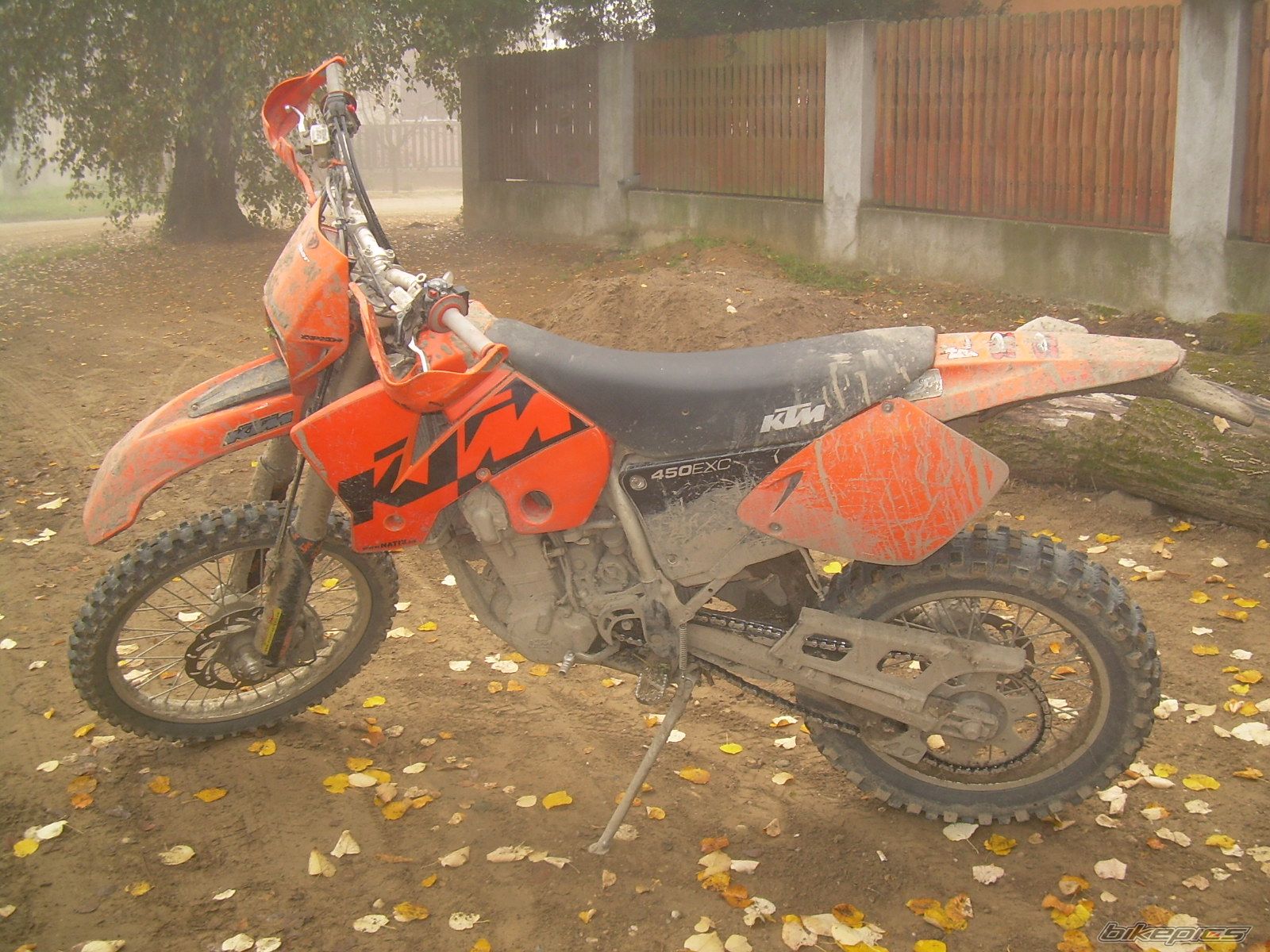 Photo 1447997