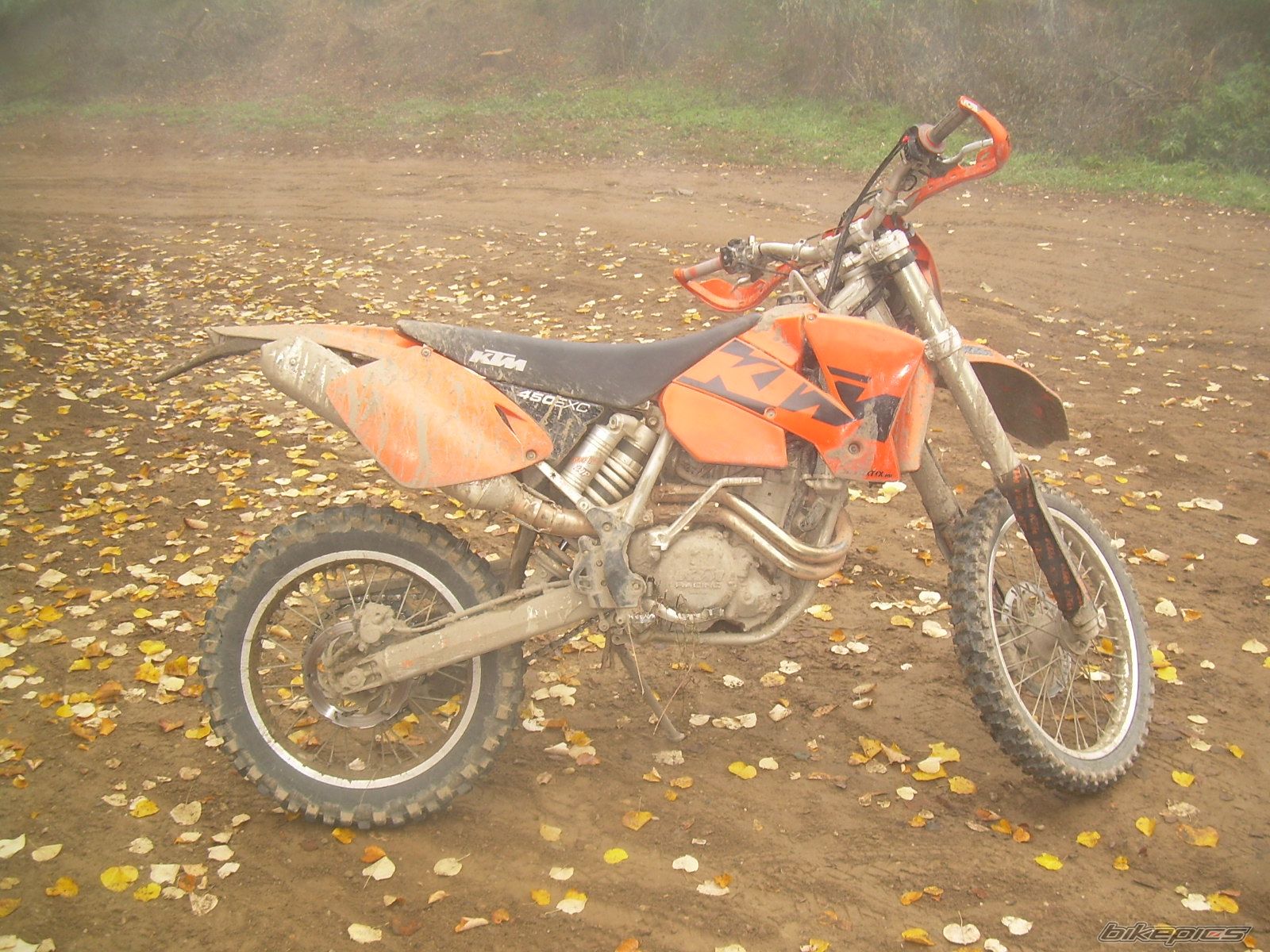 Photo 1447999
