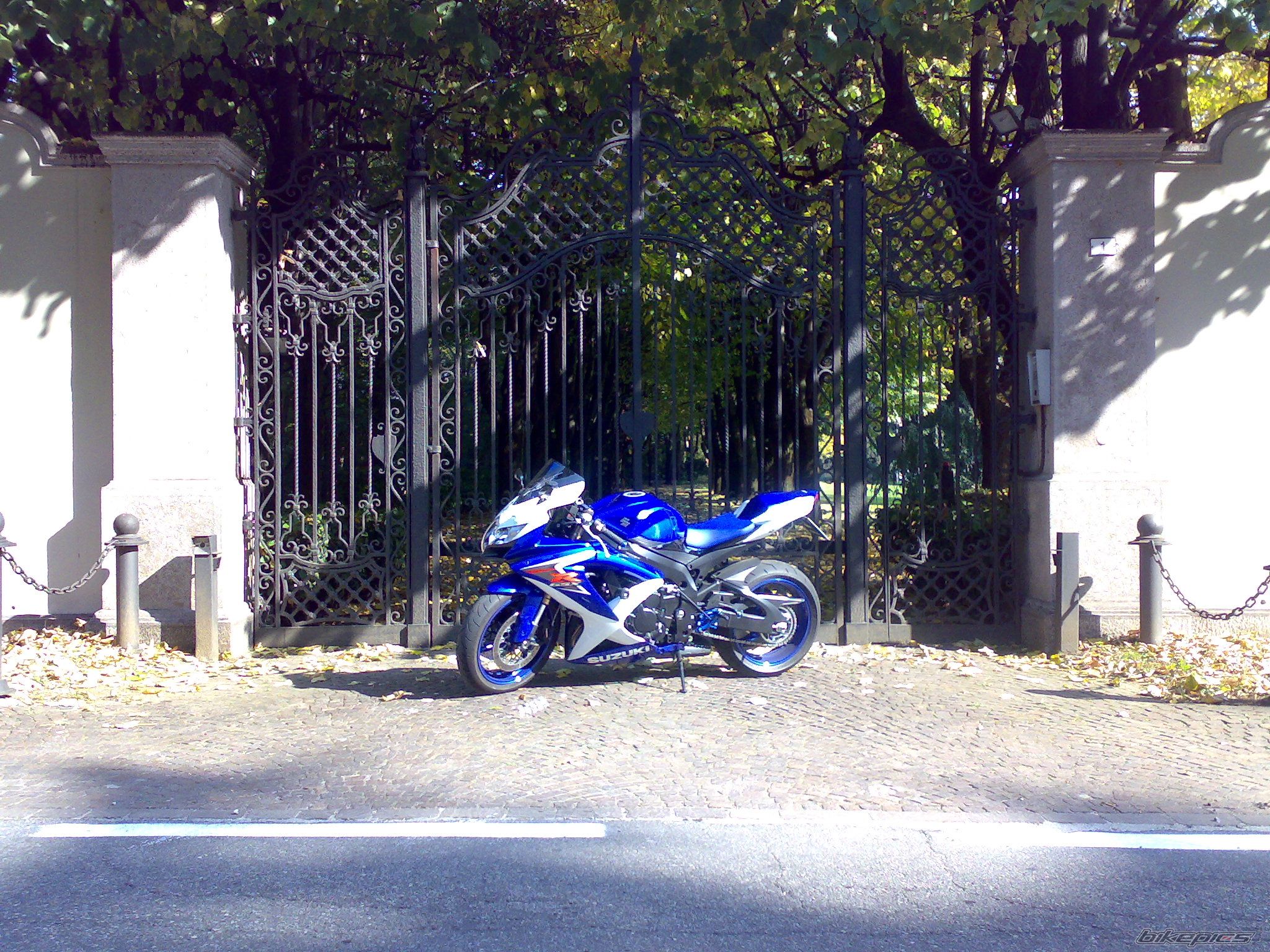 Photo 1448002