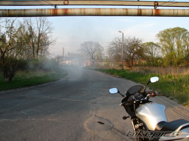Photo 1448024