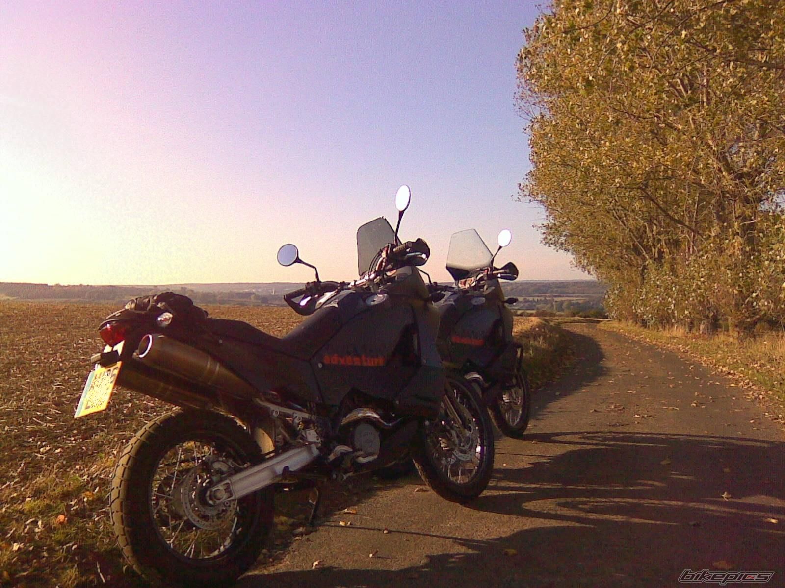 Photo 1448053