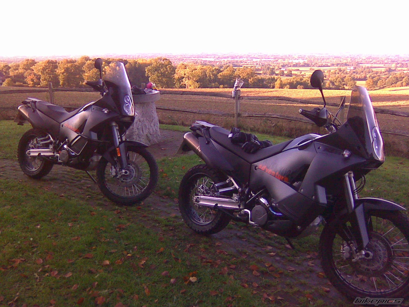 Bike Photo 1448054