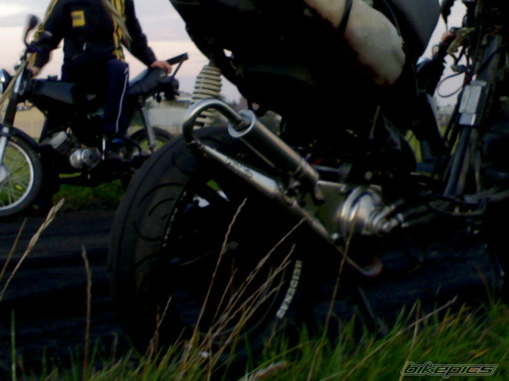 Photo 1448081