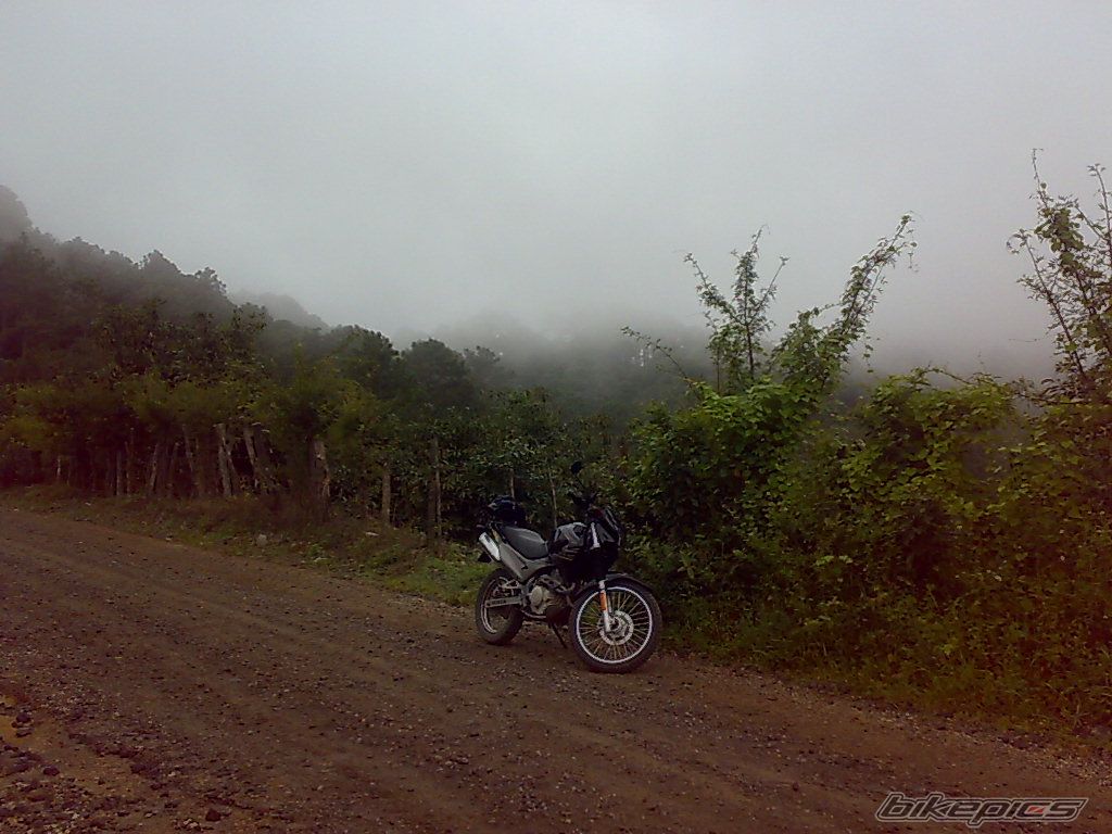 Photo 1448097