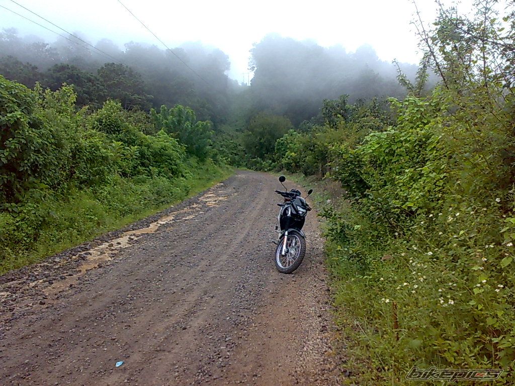 Photo 1448098