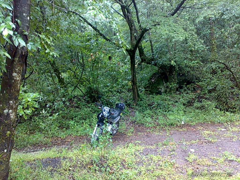 Bike Photo 1448102