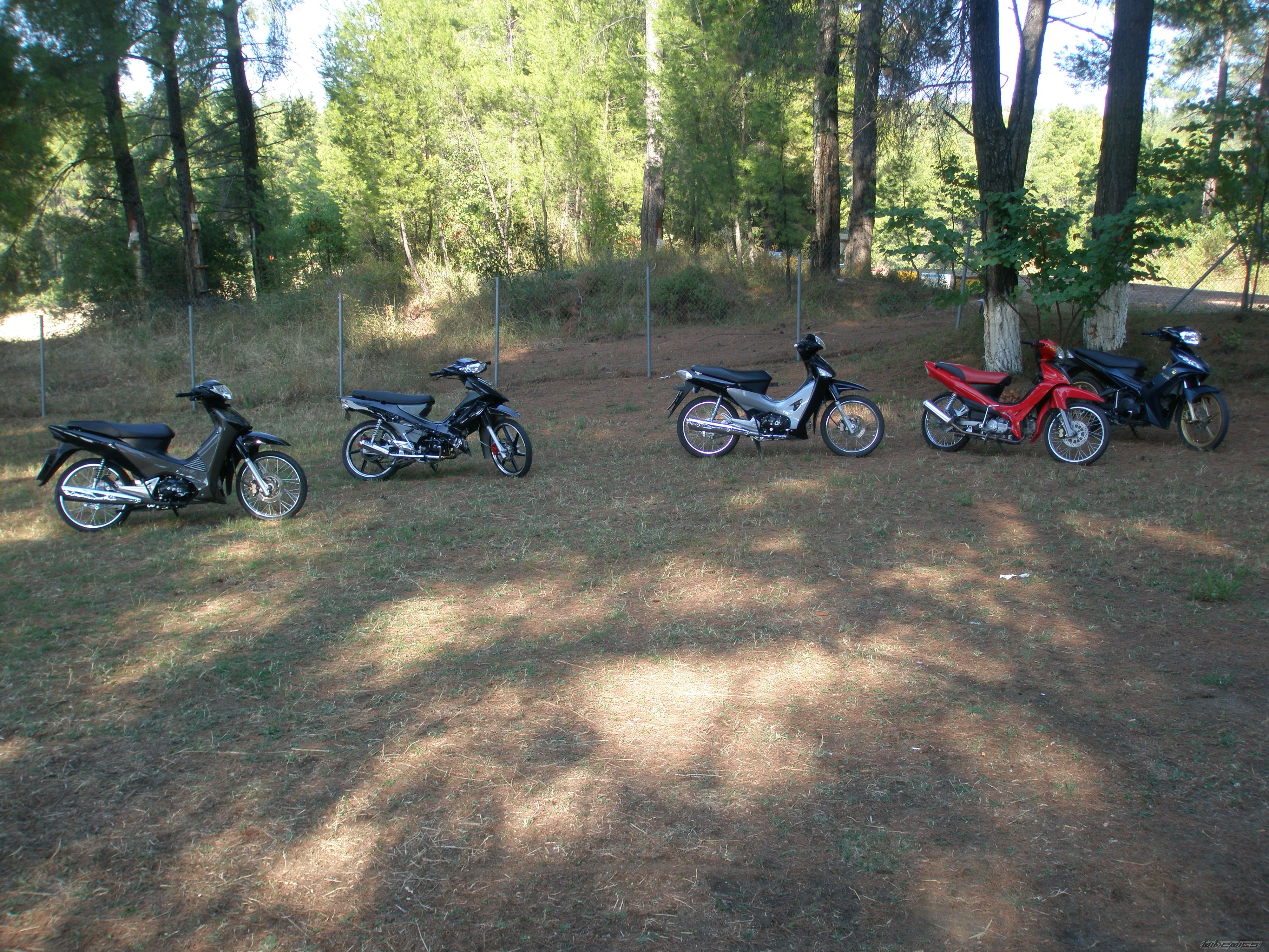 Photo 1448171