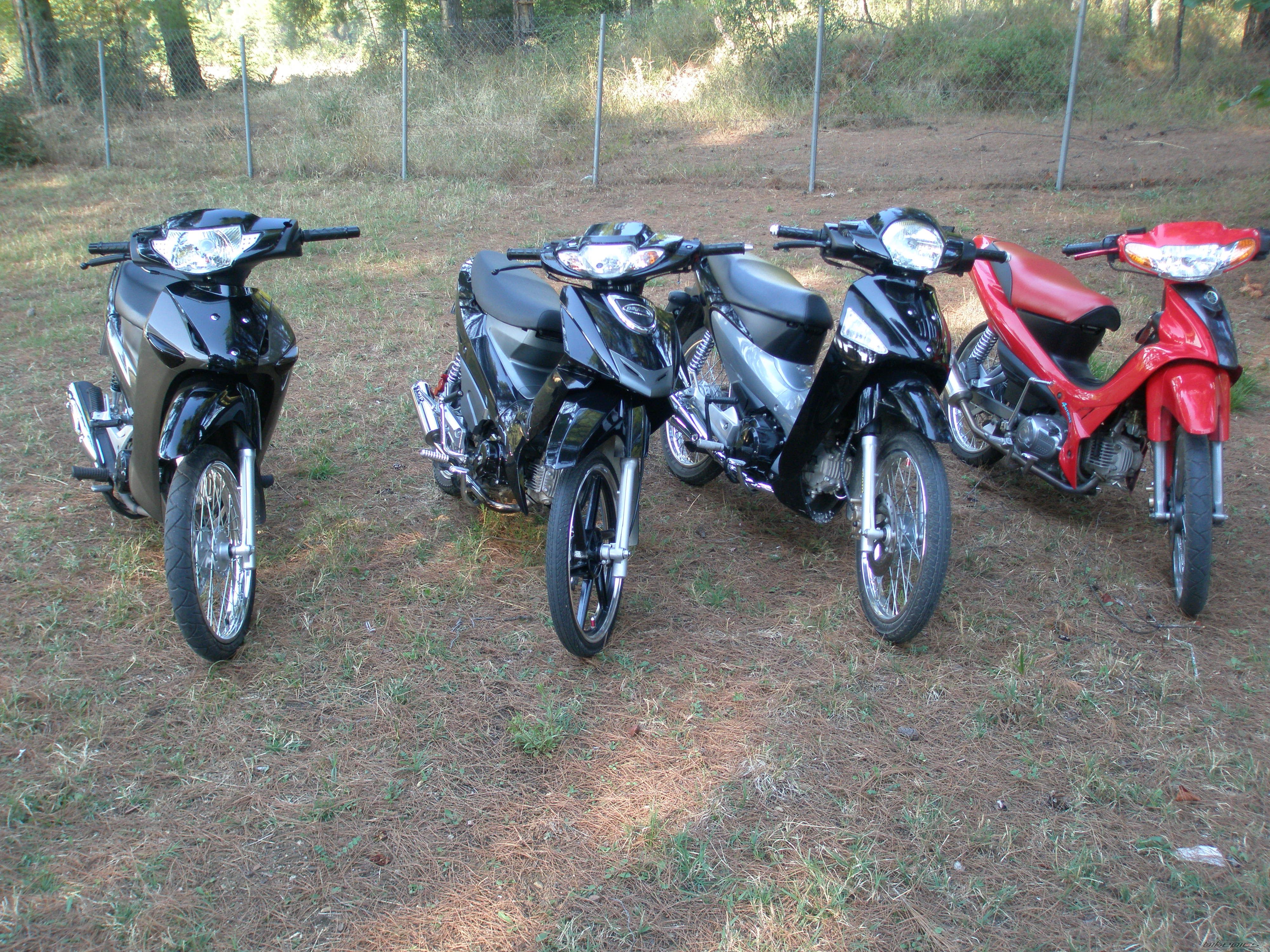Photo 1448178