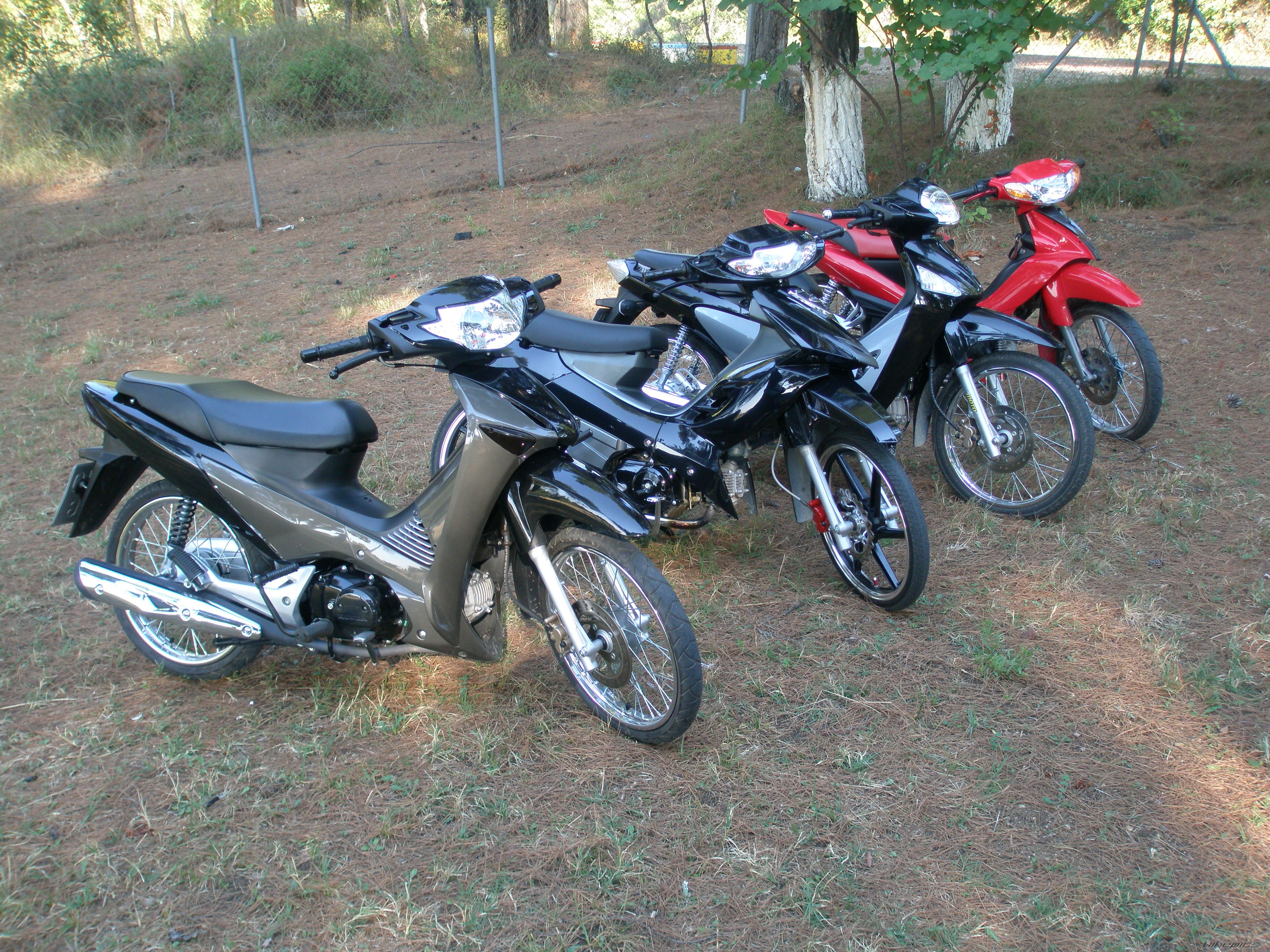 Photo 1448182