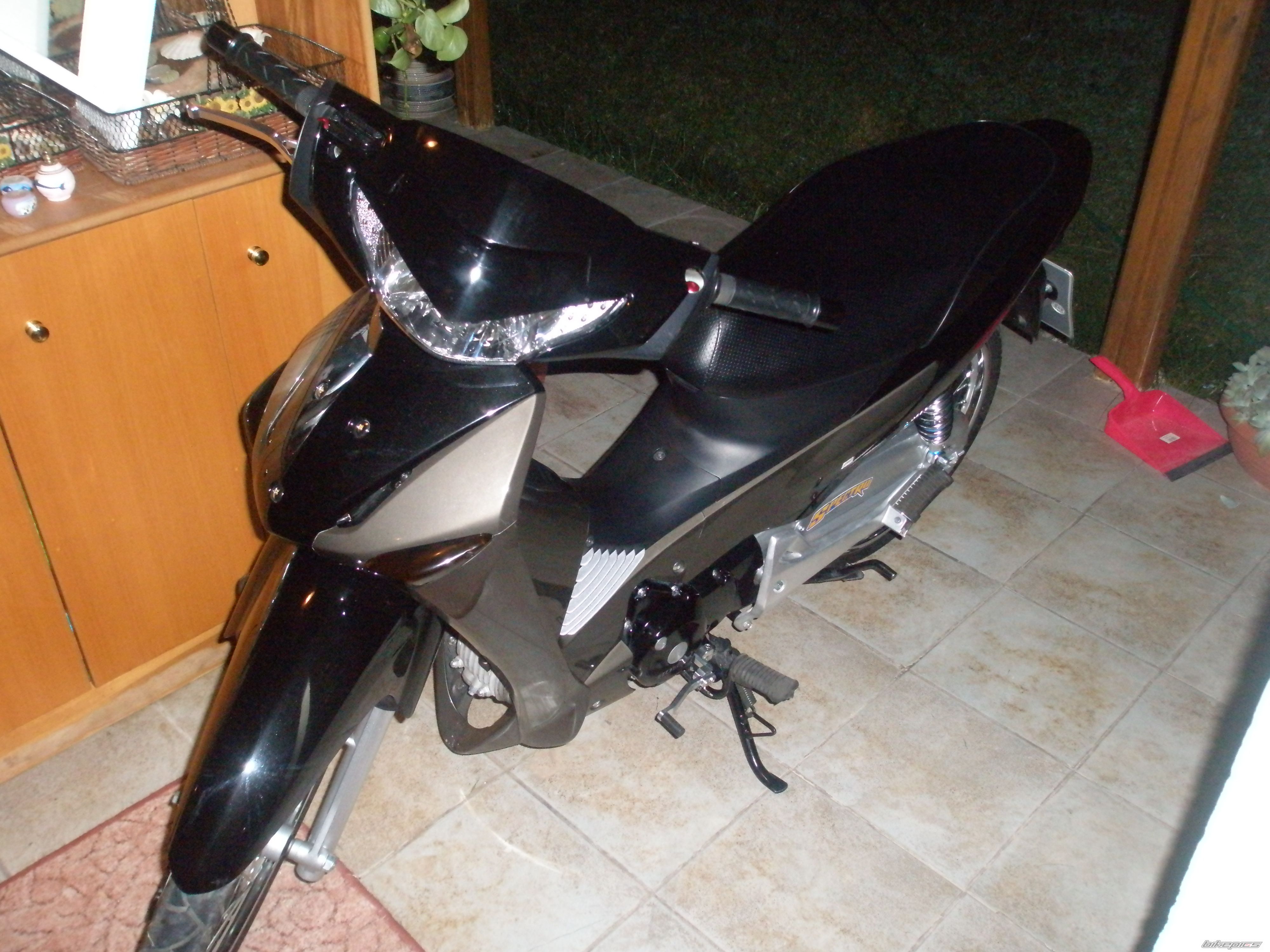 Photo 1448197