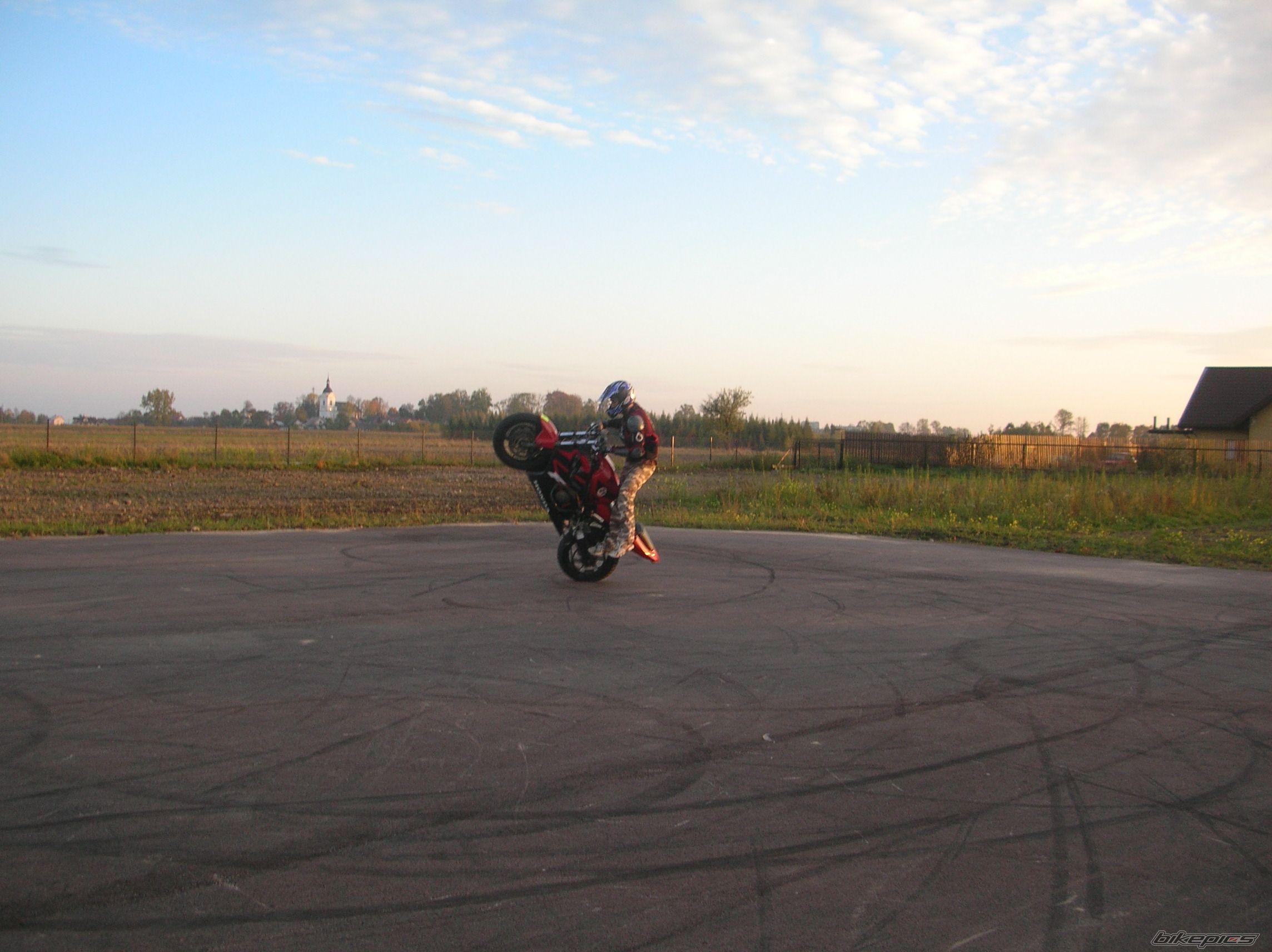 Photo 1448227