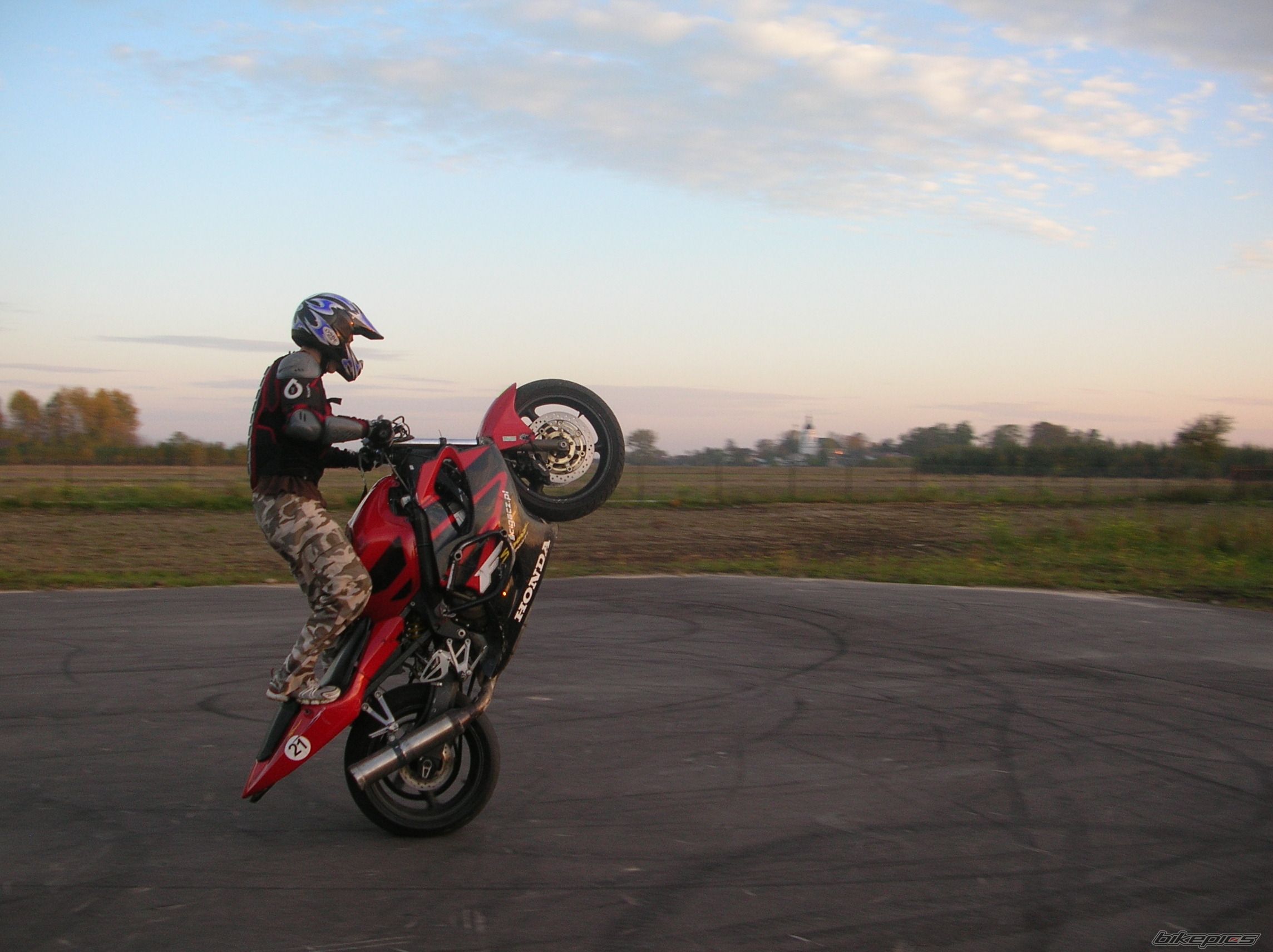 Photo 1448232
